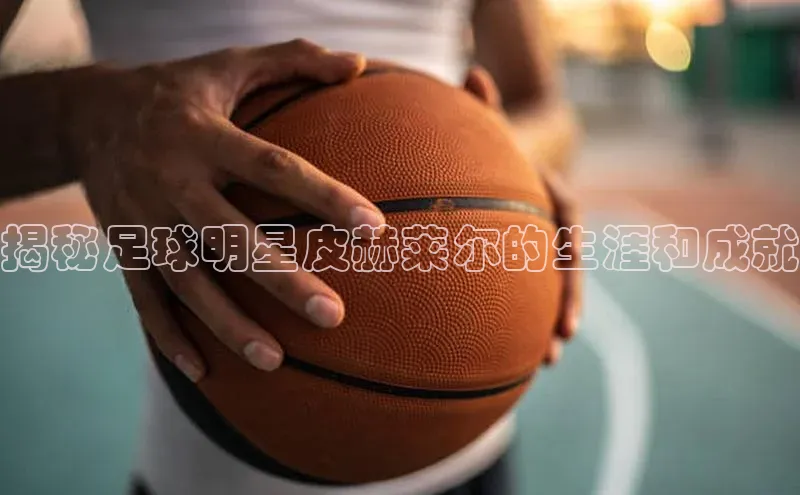 门徒平台注册登录百度手机卫士揭秘足球明星皮赫莱尔的生涯和成就