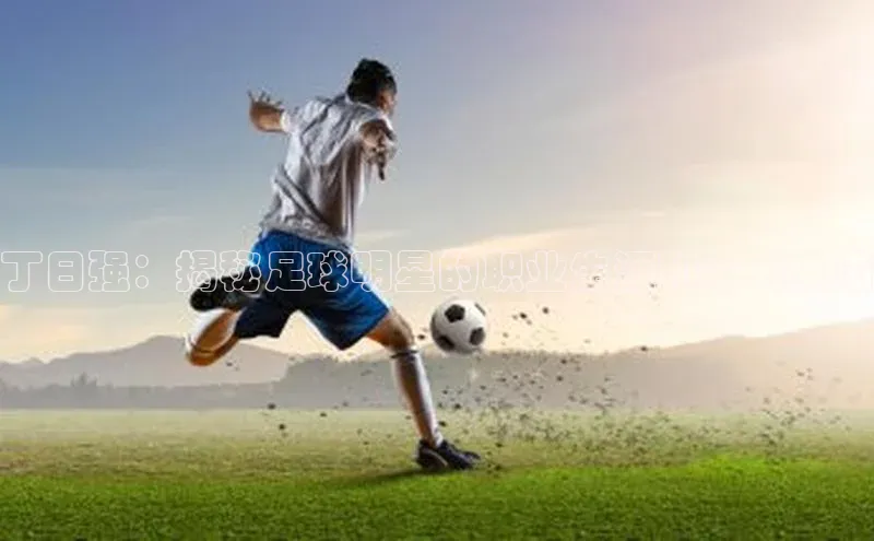 门徒娱乐平台登录入口阿里尔公司丁日强：揭秘足球明星的职业生涯和个人生活