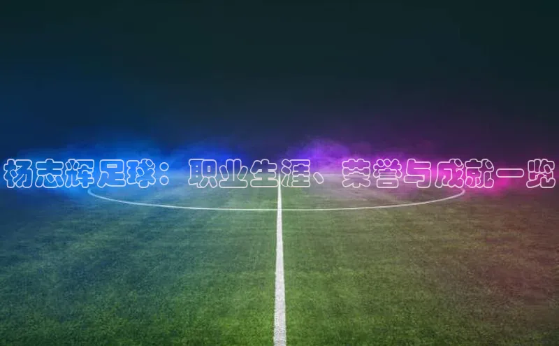 门徒娱乐元隆雅图杨志辉足球：职业生涯、荣誉与成就一览