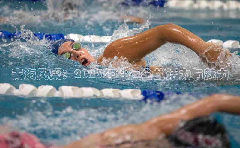 青海风采：2023年省运会的活力与魅力