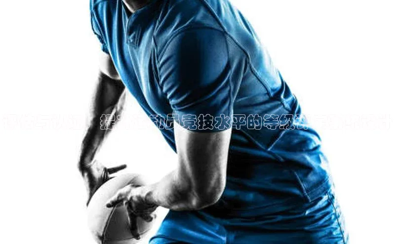 评估与认证：提升运动员竞技水平的等级评定系统设计