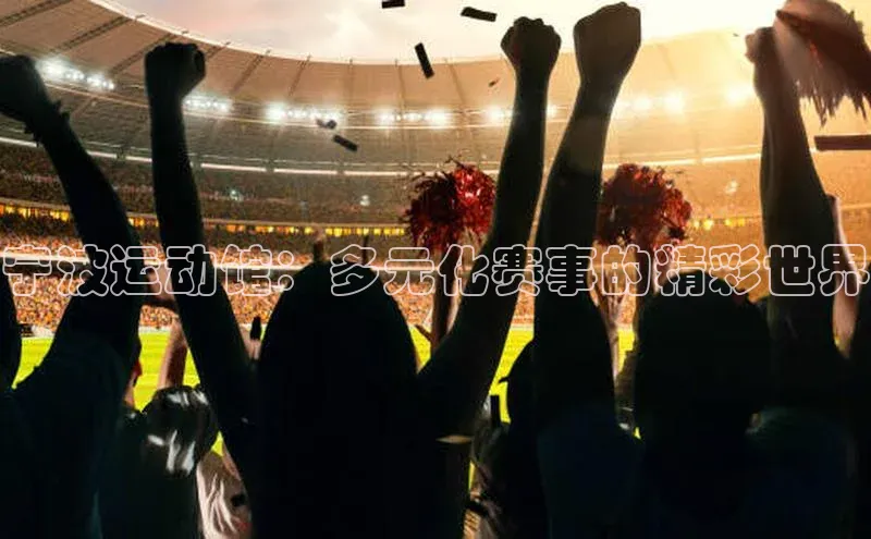 宁波运动馆：多元化赛事的精彩世界
