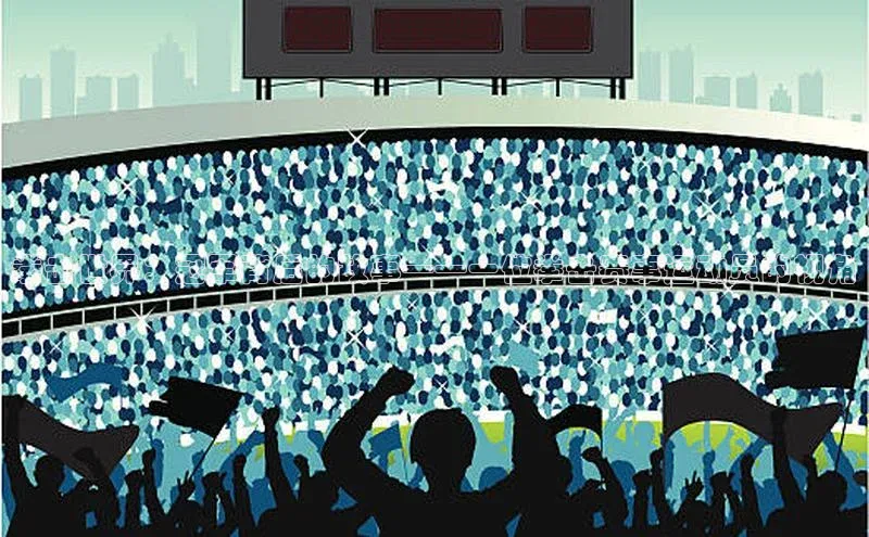 拳击世界：冠军背后的故事——一位拳击赛事运动员的视角