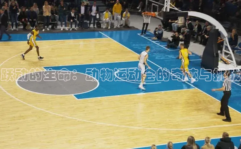 跃动的生命：动物运动会的奇迹与挑战