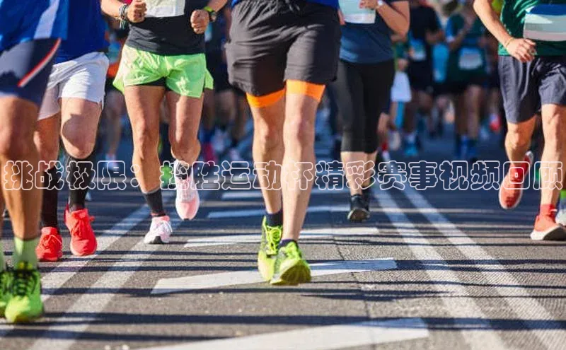 挑战极限：揽胜运动杯精彩赛事视频回顾