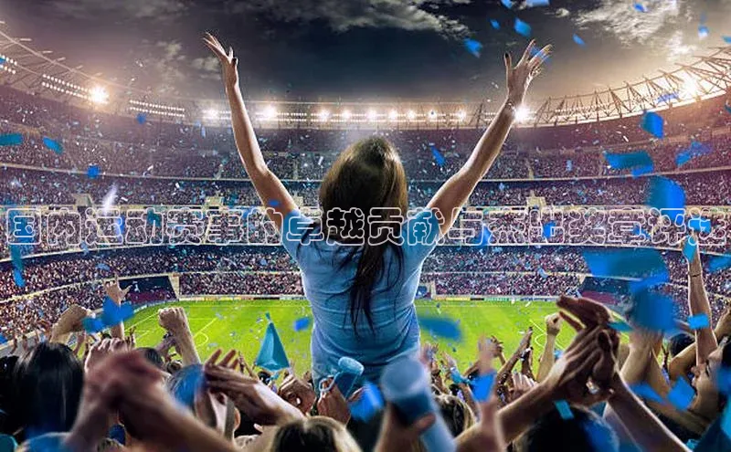 国内运动赛事的卓越贡献与杰出奖章评选