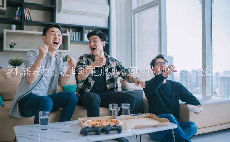 翱翔云端：航空运动赛事的国际IP与未来趋势