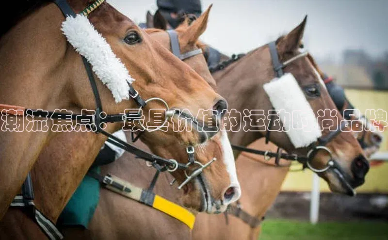 潮流焦点：最具价值的运动时尚品牌