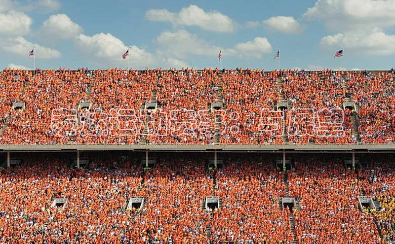 泰达运动赛事：与展望