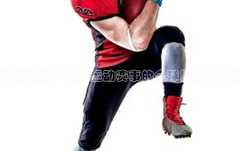 飞跃极限：大型运动赛事的全球比较与分析