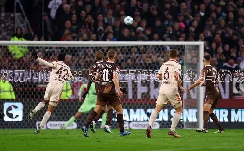 冰刀上的竞技：冰球运动赛事的魅力与挑战