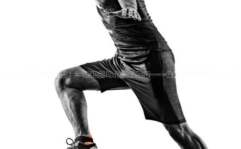 赛道上的激情与智慧：一场视觉与心灵的盛宴——体育赛事的评析与感悟