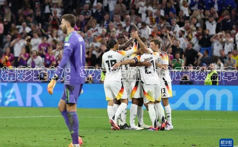 精彩绽放：平凉运动会的璀璨篇章