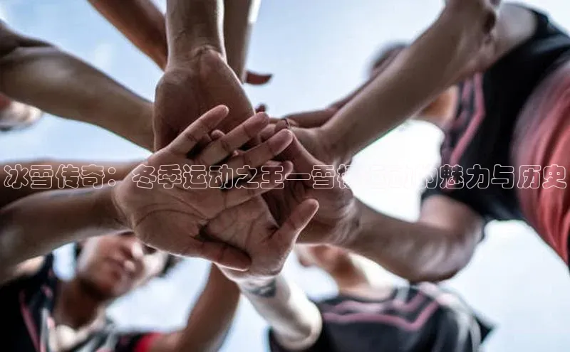 冰雪传奇：冬季运动之王—雪橇运动的魅力与历史