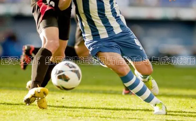 冠军之路：维辰赛事运动员背后的奋斗与成功秘籍