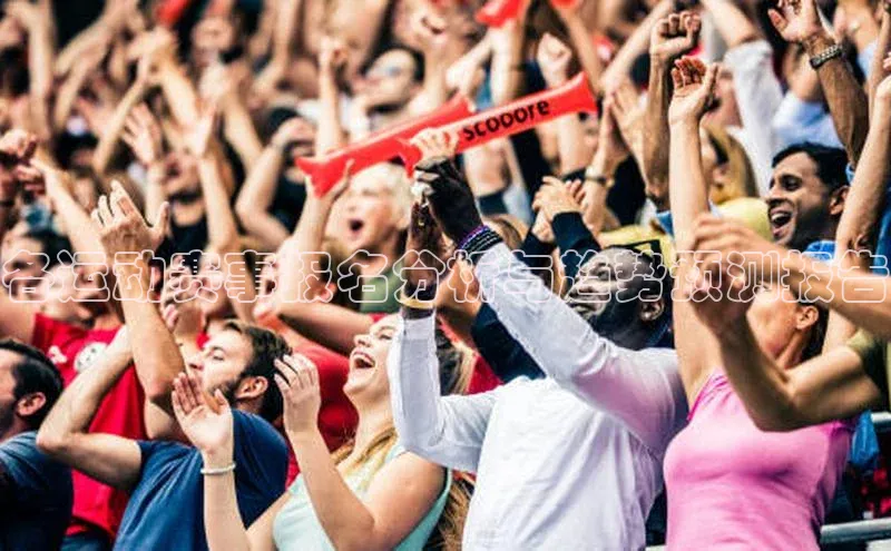 各运动赛事报名分析与趋势预测报告