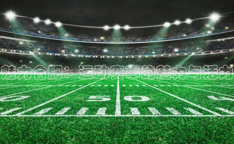 魅力合肥：运动赛事的魅力与活力