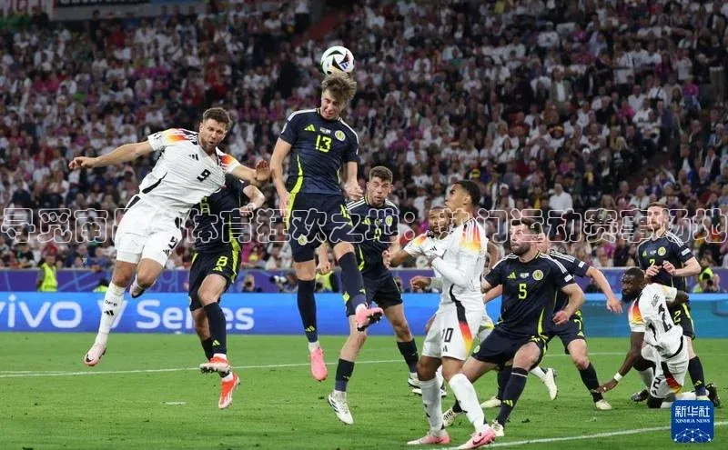 寻觅南昌的体育狂欢之地：热门运动赛事场地