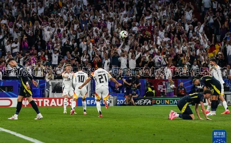 运动赛事的七大要素：如何全面理解赛事运作与影响