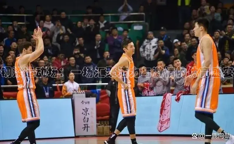 铜梁运动场：一场汇聚活力与激情的体育盛宴